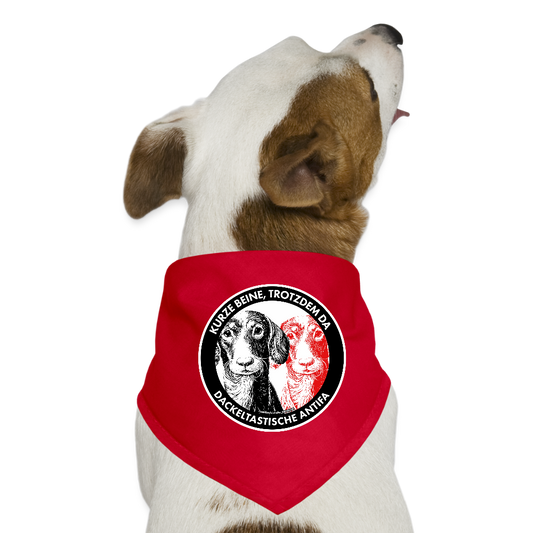 Dackeltastische Antifa Hunde-Bandana - Rot